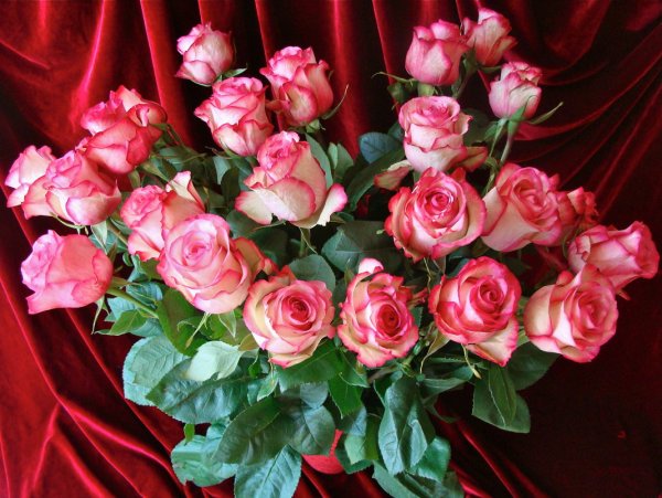 Букет роз
