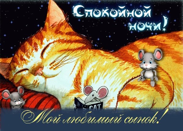 Пожеланияпойкокйной ночи