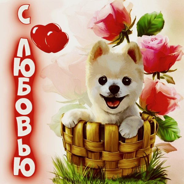 Милая открытка