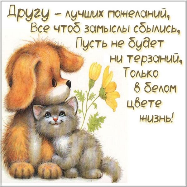 Пожелания друзьям