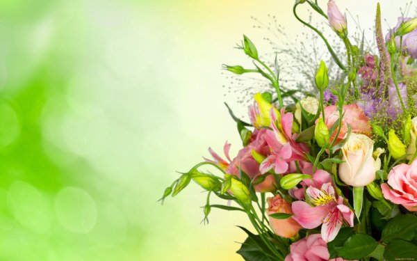 Открытка цветы