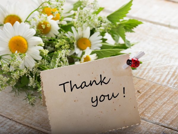 Поздравляем с цветами