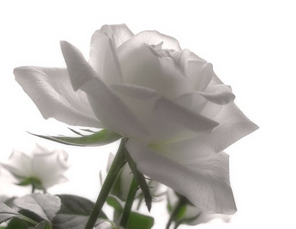 Открытки береги себя