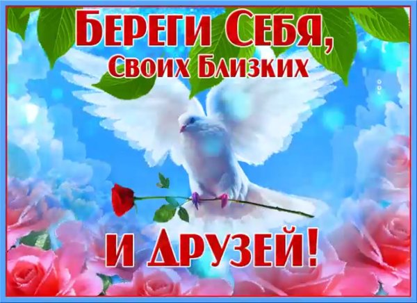 Берегите себя и своих близких будьте здоровы