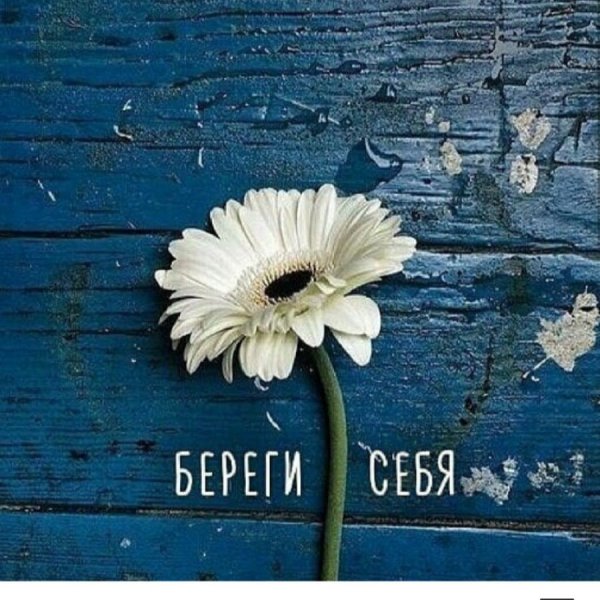 Открытки с надписью береги себя