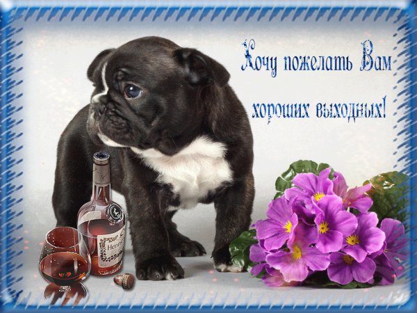 Хороших выходных открытки