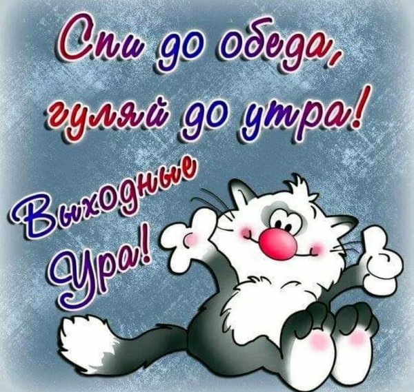 Открытки с добрым утром прикольные