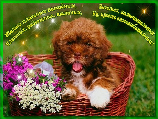 Отличных выходных