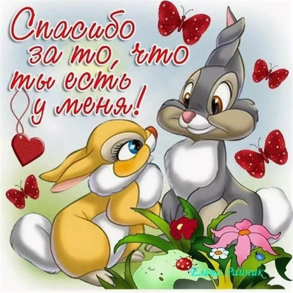 Я тебя люблю картинки