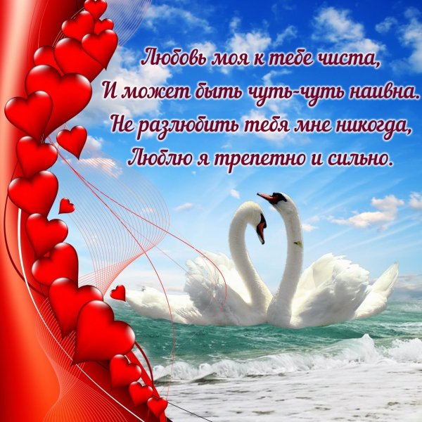 Открытки любимому мужчине прикольные