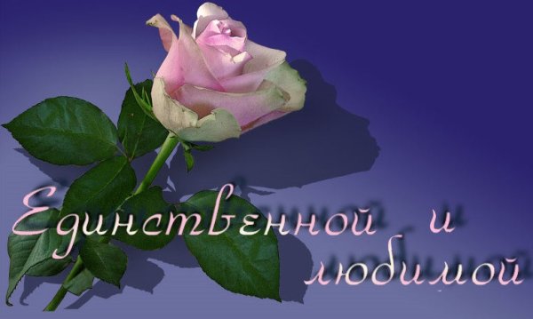 Любимой и единственной