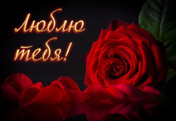 Для любимой жены