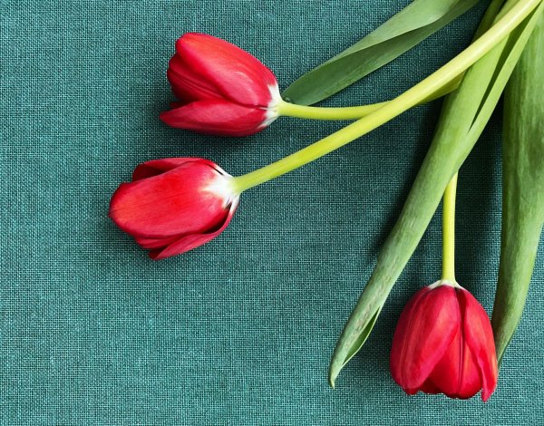 Спасибо за поздравления