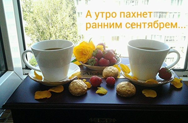 Тепла в холодный осенний день