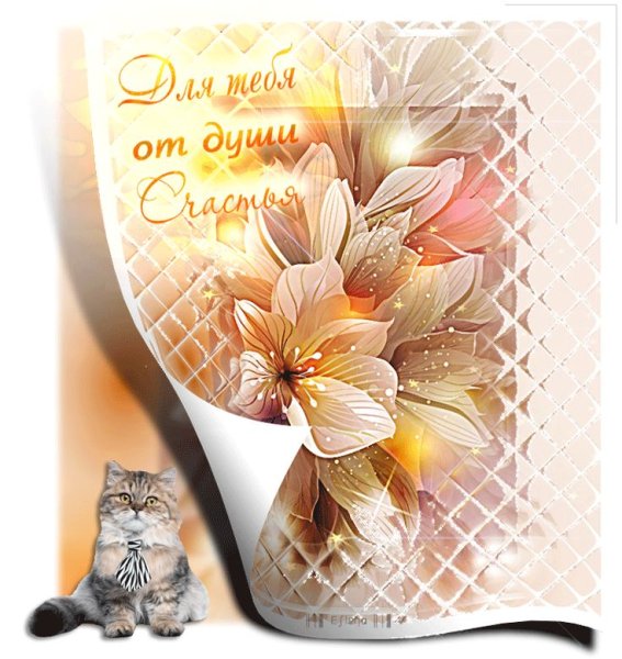 Открытки с теплыми пожеланиями