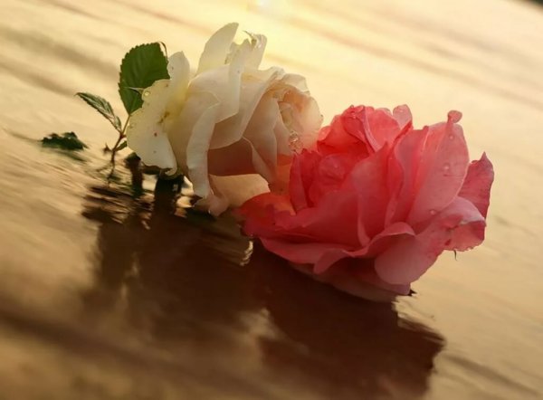 Пожелания доброго дня в стихах