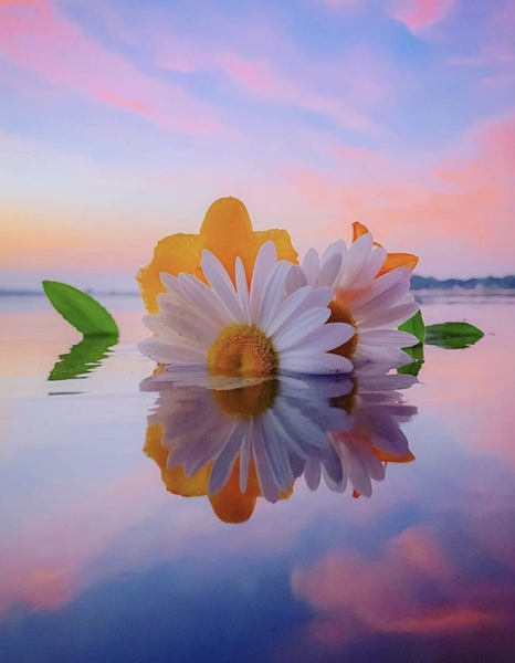 Доброе чудесное утро