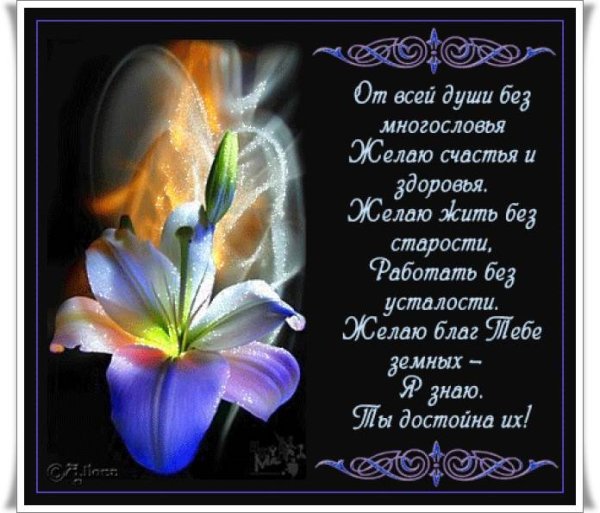 Самые красивые пожелания в стихах