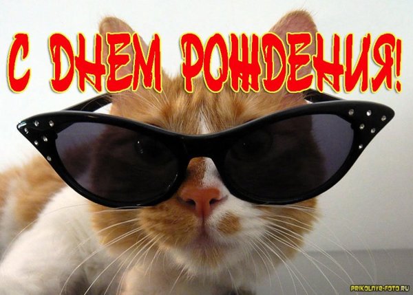 Прикольные открытки с днем рождения