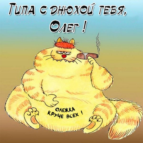 Прикольные поздравления с днем рождения