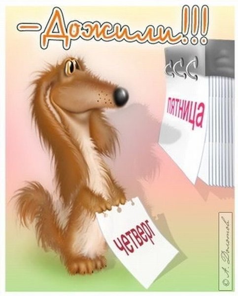 Пятница картинки прикольные