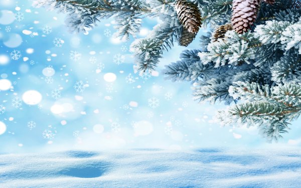 Зимний лес фон