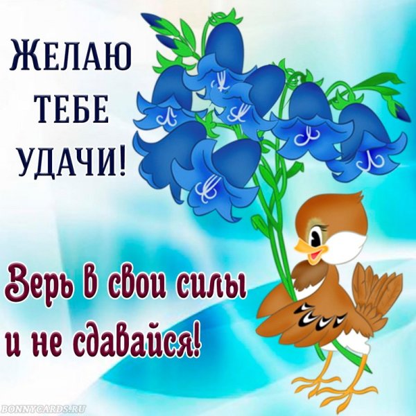 Открытки с пожеланием удачи