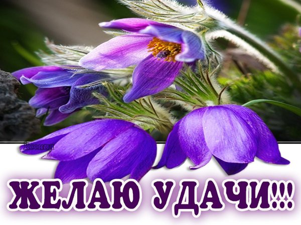 Открытка "удачи!"