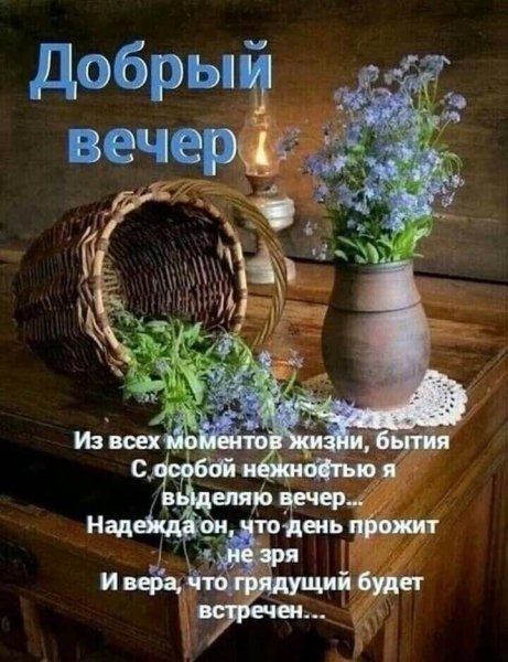 Добрый вечер цитаты