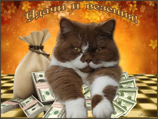 Открытки удачи в делах