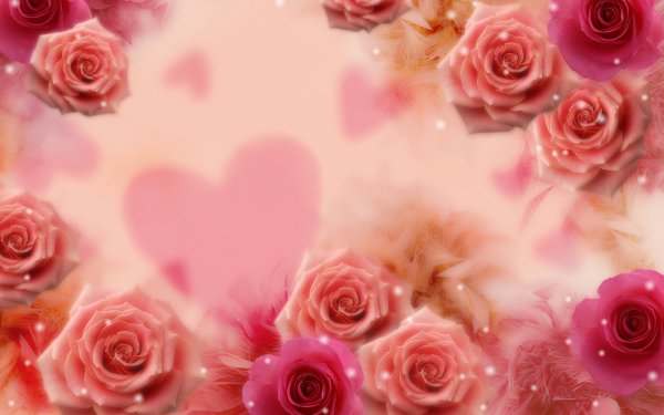 Дашенька картинки