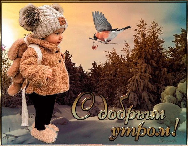 Доброе февральское УИРО