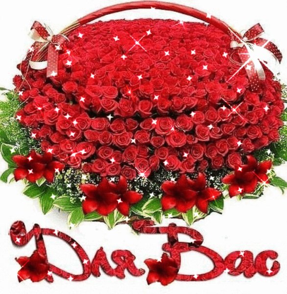 Букет роз огромный с днём рождения