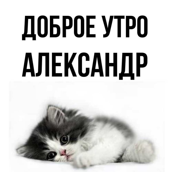 Доброе утро Сашенька