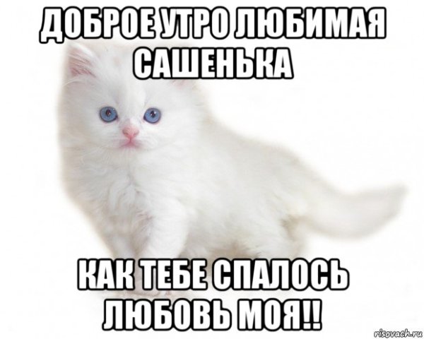 Доброе утро Сашенька любимый