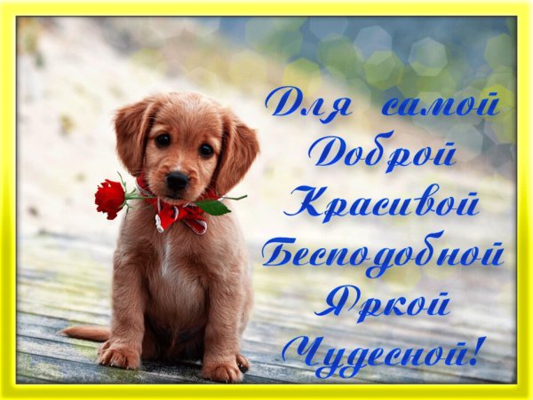 Поздравление на каждый день красивые бесплатно