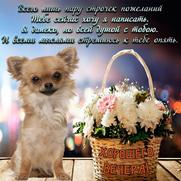 Открытки с пожеланиями