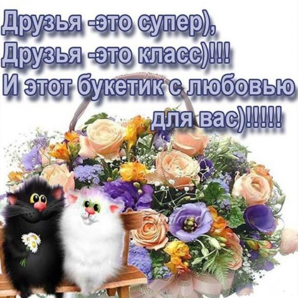 Самые красивые пожелания