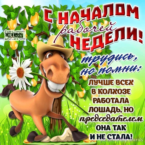 С началом рабочей недели