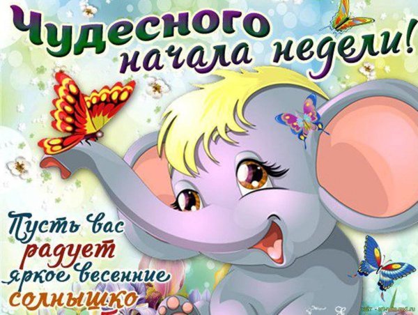 Поздравление с началом недели