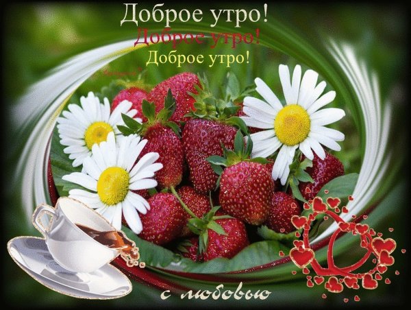 Доброе летнее утро пожелания