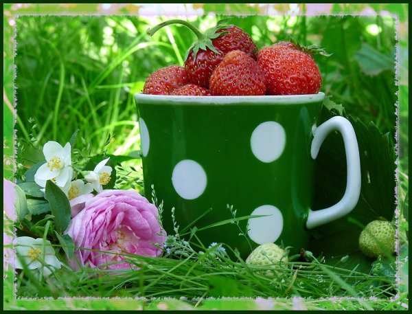 Доброе утро лето