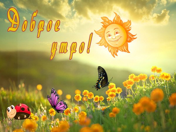 Доброе утро солнце