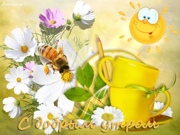 Солнечного майского утра и хорошего дня