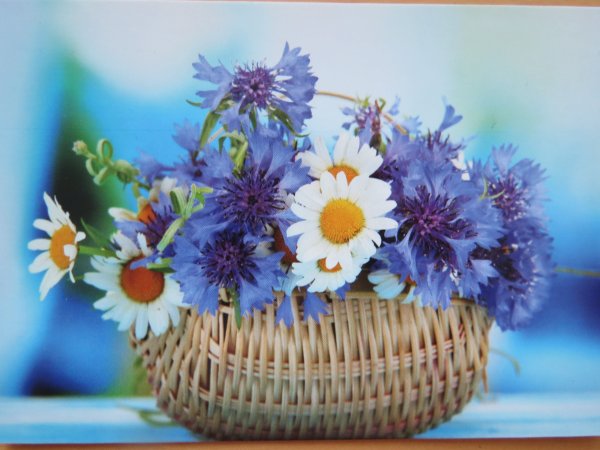 Доброе летнее утро гифки