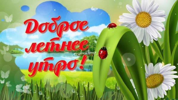 Доброе летнее утро