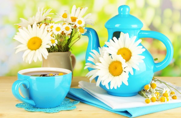 Доброго летнего утра и хорошего дня