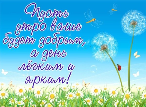 Хорошего летнего дня и отличного настроения