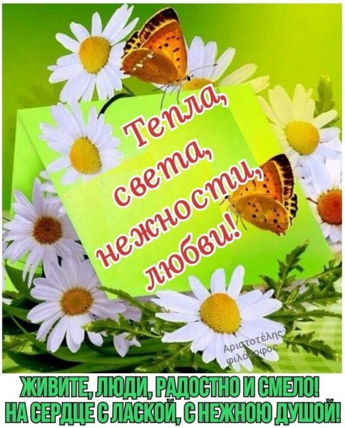 Доброе летнее утро анимация