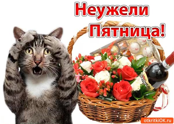 С пятницей прикольные